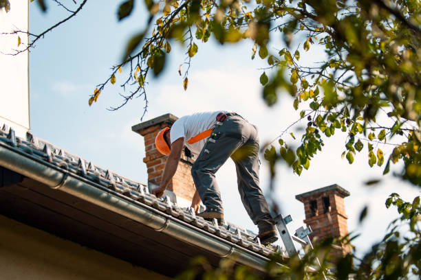 Best Roof Inspection Near Me  in Van Vleck, TX