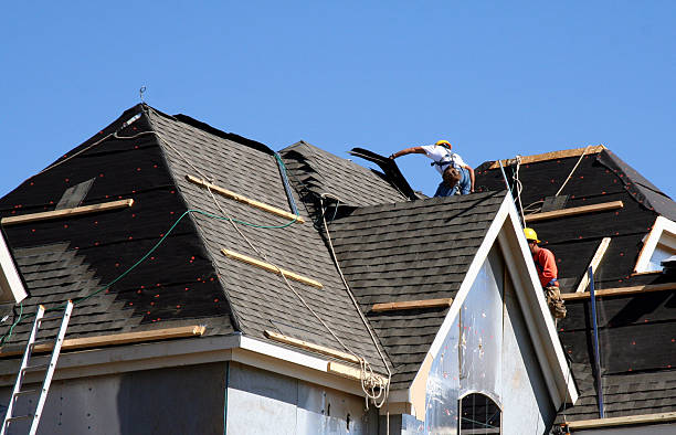 Best Roof Maintenance Services  in Van Vleck, TX