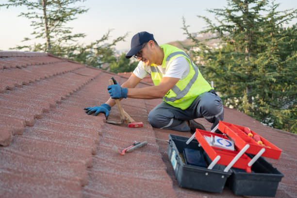 Best Shingle Roofing Installation  in Van Vleck, TX